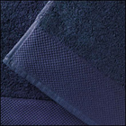 Navy Royal Spa border